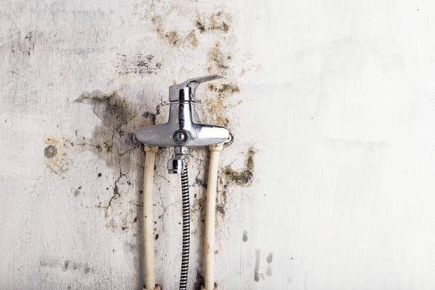 Alamogordo, NM Mold Remediation Company