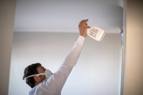 Best Insurance-Related Mold Remediation in Alamogordo, NM