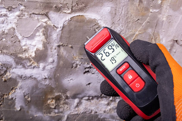 Best Commercial Mold Remediation in Alamogordo, NM