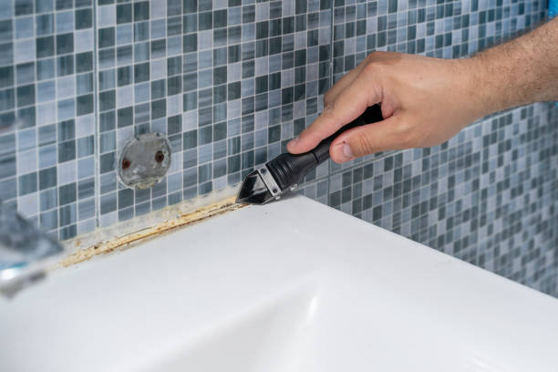 Best Mold Remediation for Specific Building Types in Alamogordo, NM