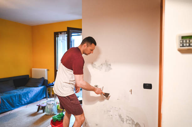 Best Bathroom Mold Remediation in Alamogordo, NM